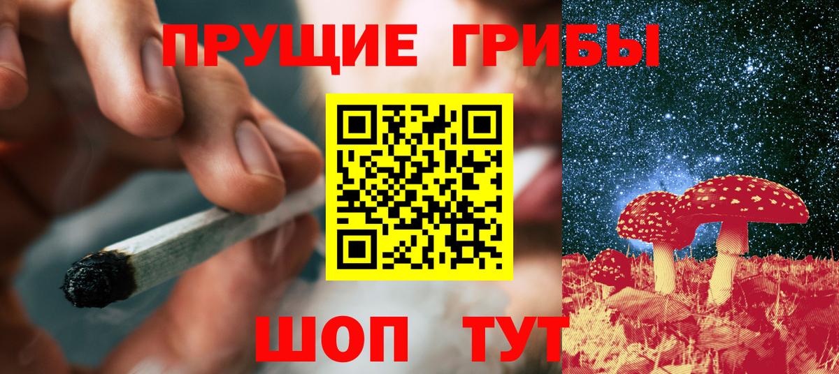 Псилоцибиновые грибы прущие грибы Ковров