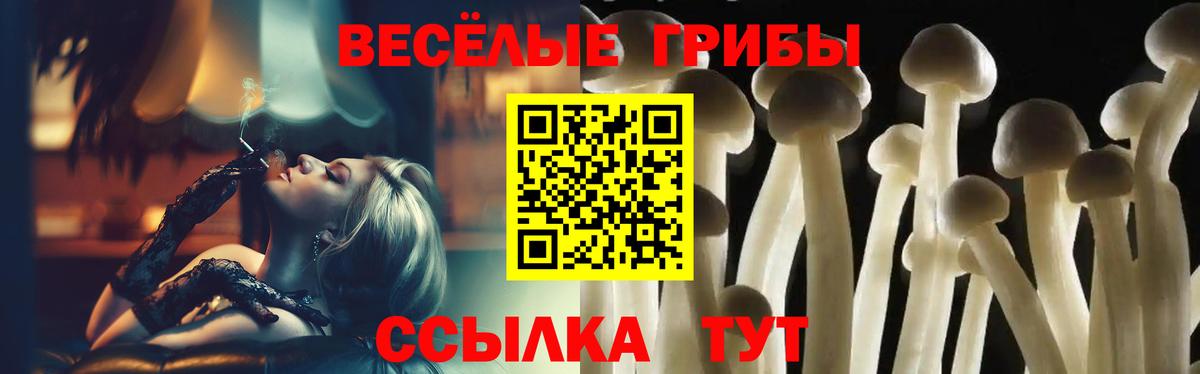 Ковров  сколько стоит  Вход с VPN  Псилоцибиновые грибы Cubensis 